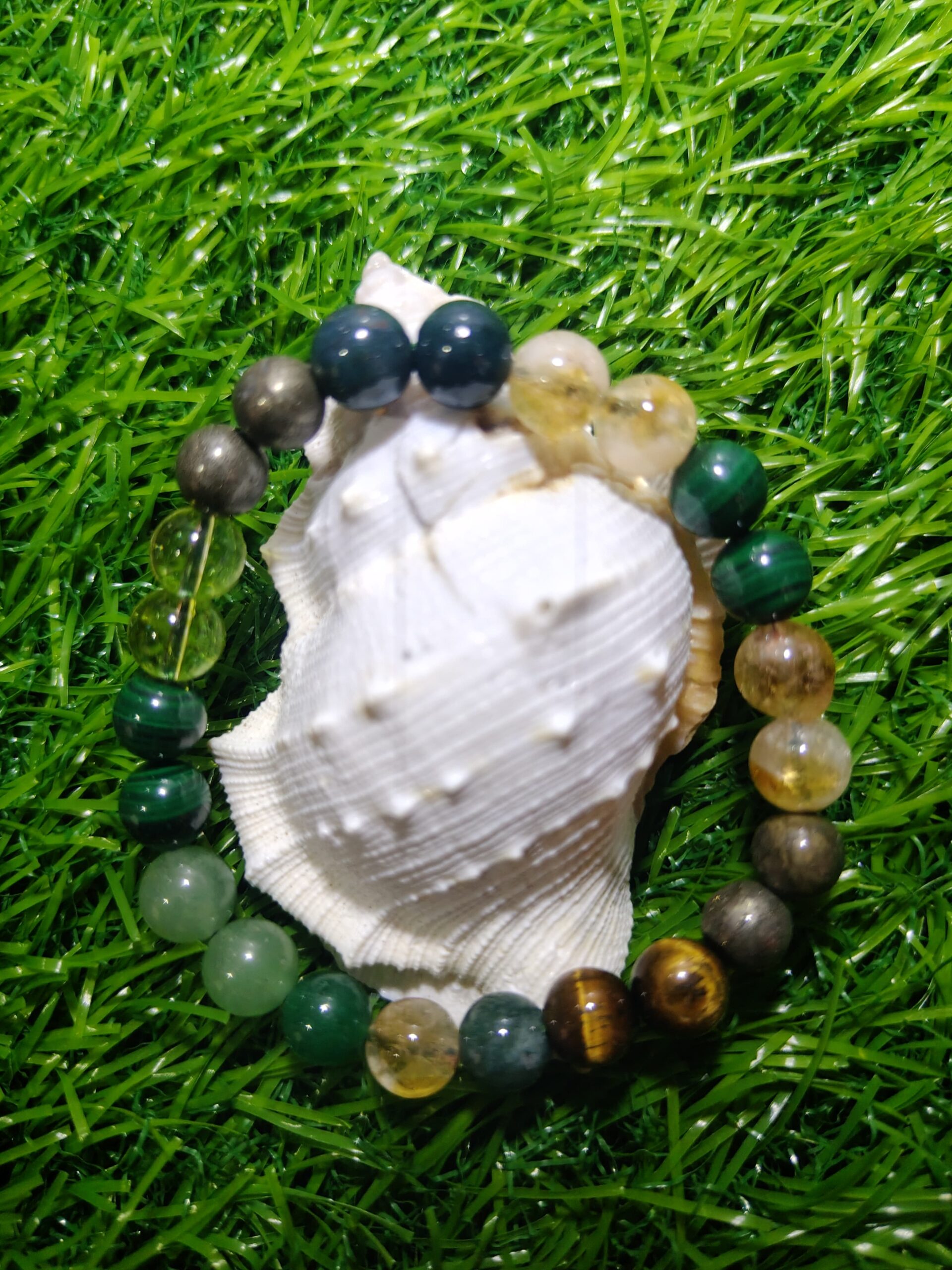 Premium Money Magnet